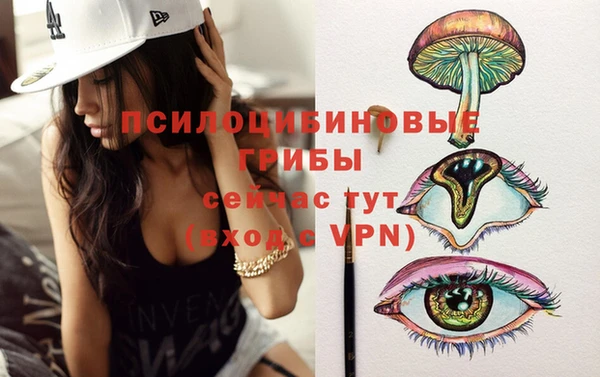 MDMA Елизово