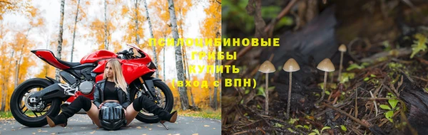 таблы Дмитров