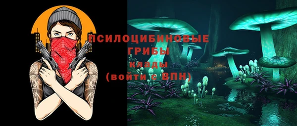 мдма Ельня